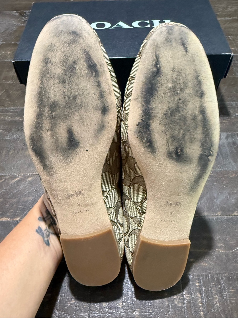 Coach Sienna Cig Slide Mules Shoes in Khaki Saddle C Logo Sz 8 B C5771 Summer - Picture 14 of 14